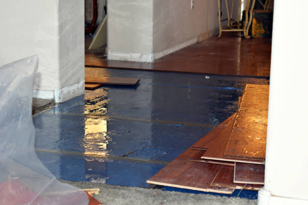 Professional Burst Pipe Cleanup technician working in Cochiti Lake, NM